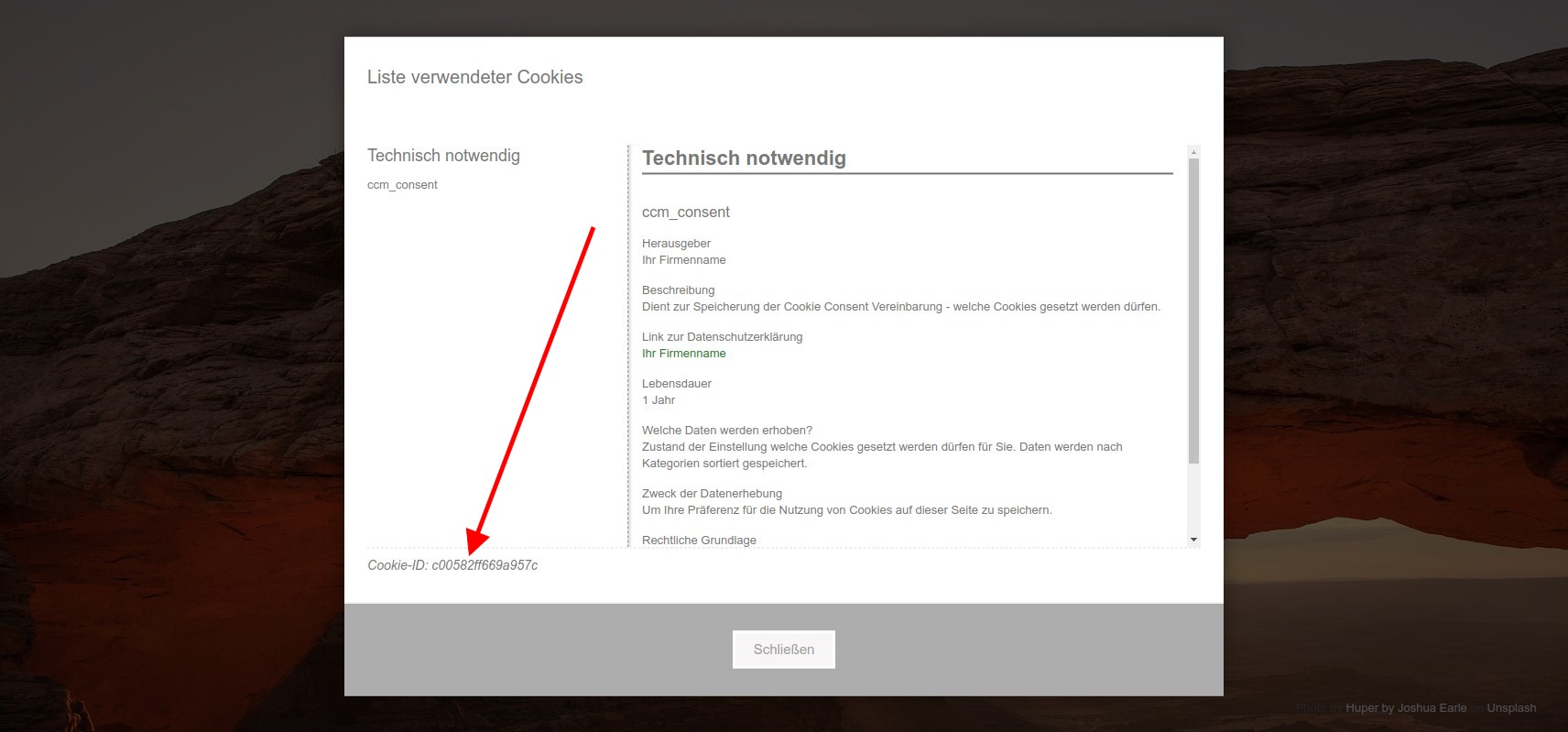 screenshot-2020.09.29-17_08_07-CCM19 - Cookie Consent Management Software